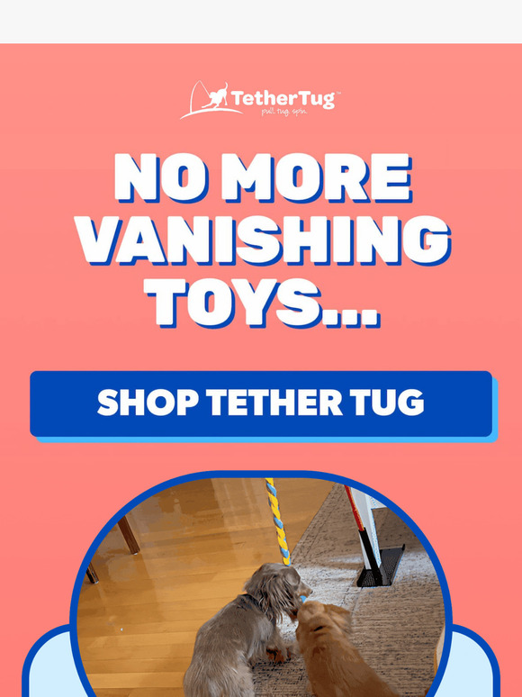 Indoor pups with no yard? Problem solved…