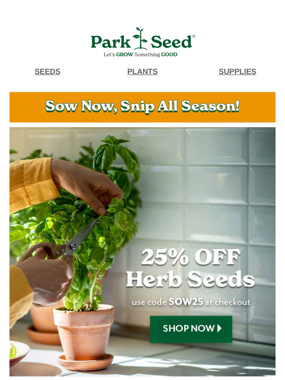 Step Into Fresh Flavors & 25% OFF