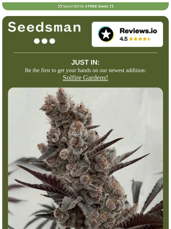 💥 NEW: Solfire Gardens 💥