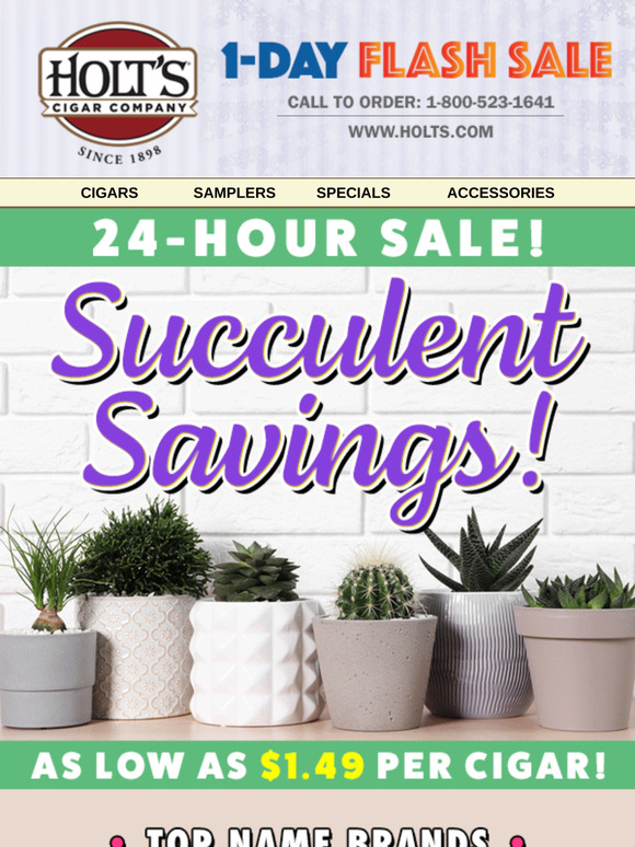 🌵Succulent Savings: Enjoy up to 88% savings on over 100 zen deals + FREE Shipping!