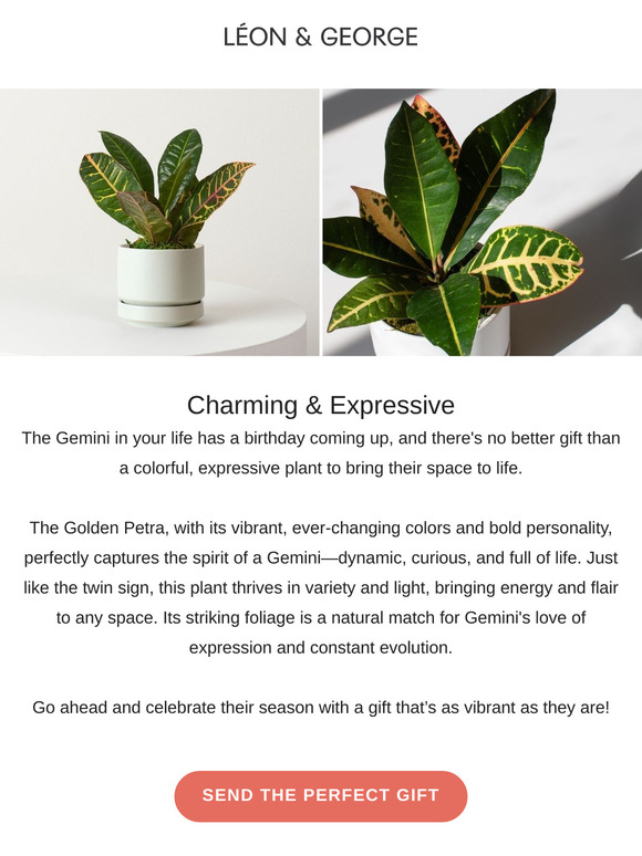 The Perfect Gift for Gemini ♊