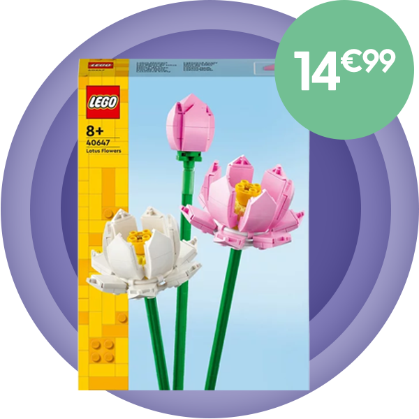 Fleurs lotus