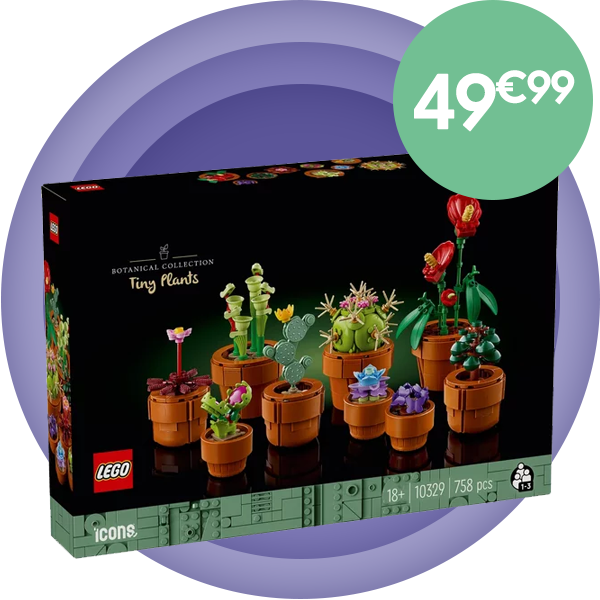 Plantes miniatures
