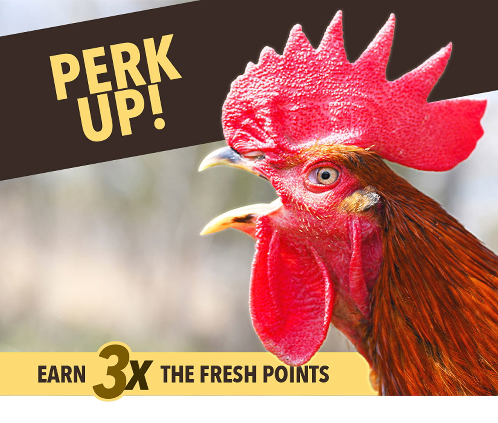 Perk Up! Earn 3x the Fresh Points.