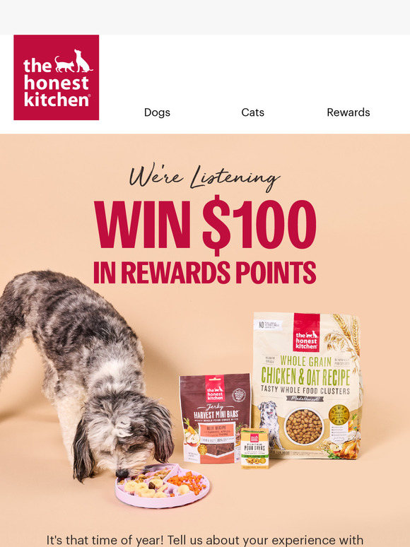 Your Chance to Win $100 in Rewards!