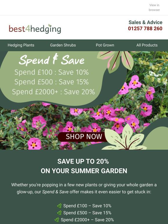 Green Goals? Huge Savings on Garden Favs! 🌱💰