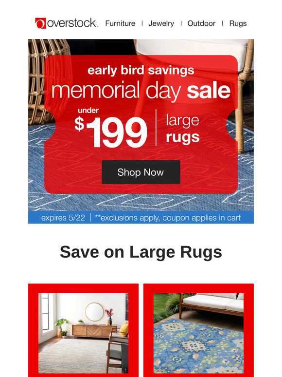 Gorgeous rugs under $199 🤯