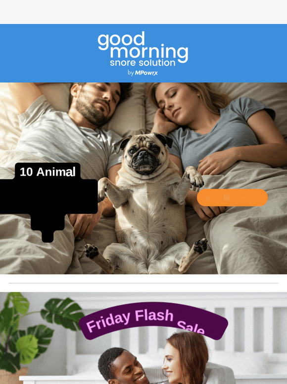 10 Funny Animal Snoring Memes Just for You, !
