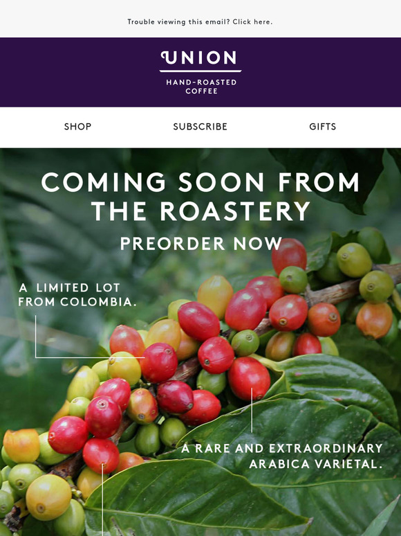 A rare release worth waiting for: Pre-order now