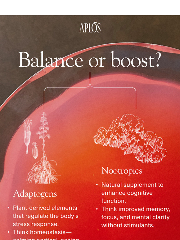Adaptogens vs. Nootropics