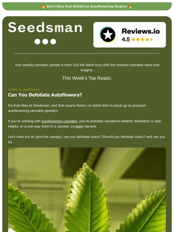 📬 Weekly Newsletter 📬