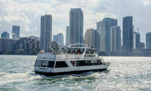Enjoy Miami Beach’s art district, scenic skyline, & celebrity mansions