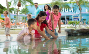 Up to 40% Off on Aquarium Visit at Marine Exhibition