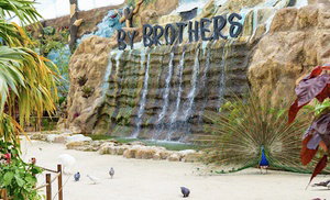 Up to 49% Off on Farm Tour at By Brothers