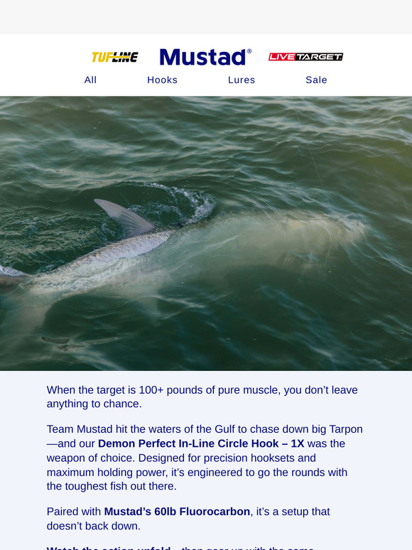 Battle-Tested in the Gulf: See the Hook Tarpon Can’t Shake