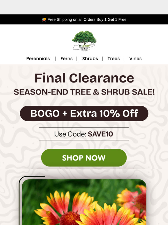 🔥 Clearance Blowout – Trees & Shrubs Must Go!