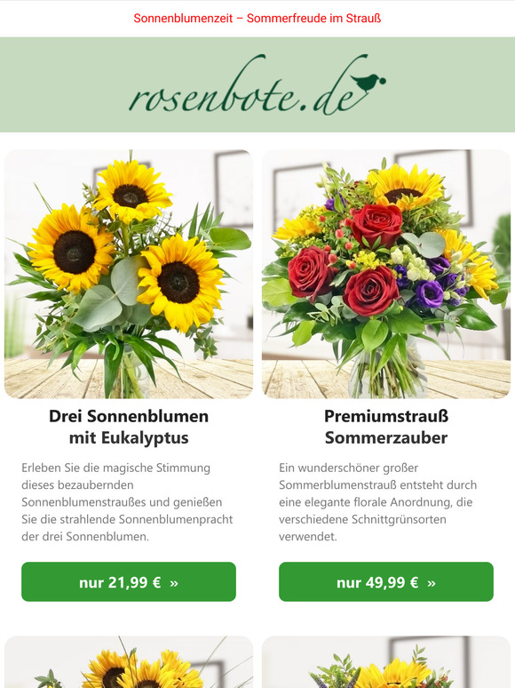 🌻 Sonnenstrahlen zum Verschenken - jetzt entdecken!