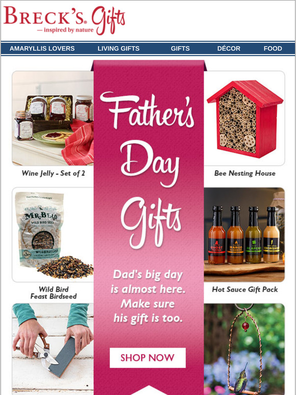 Dad's big day is fast approaching