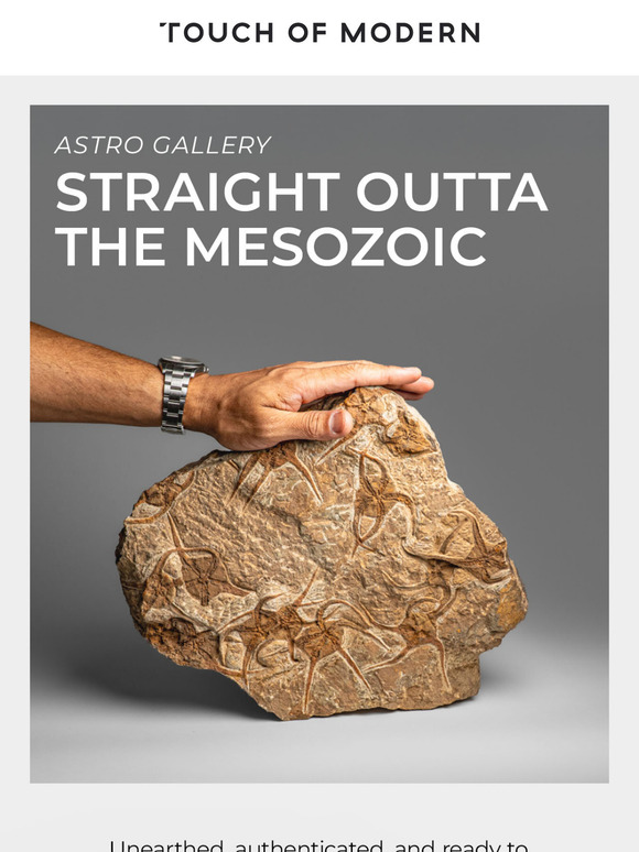We’re Feeling Mezozoic