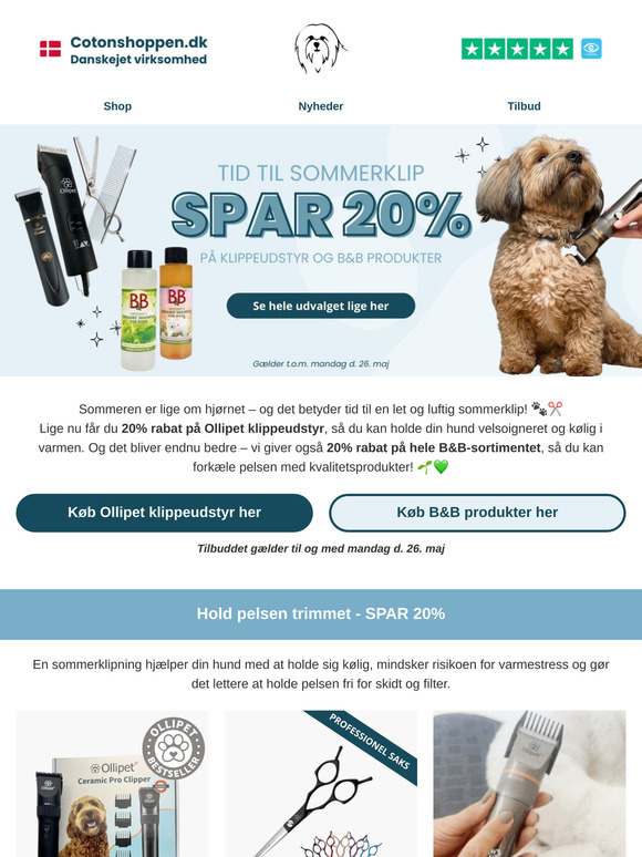 ☀️✂️ Er din hund klar til sommersolen?