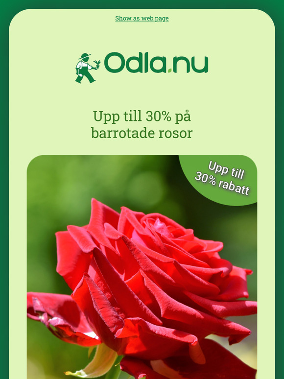Få en vacker trädgård med fantastiska erbjudanden 🤑