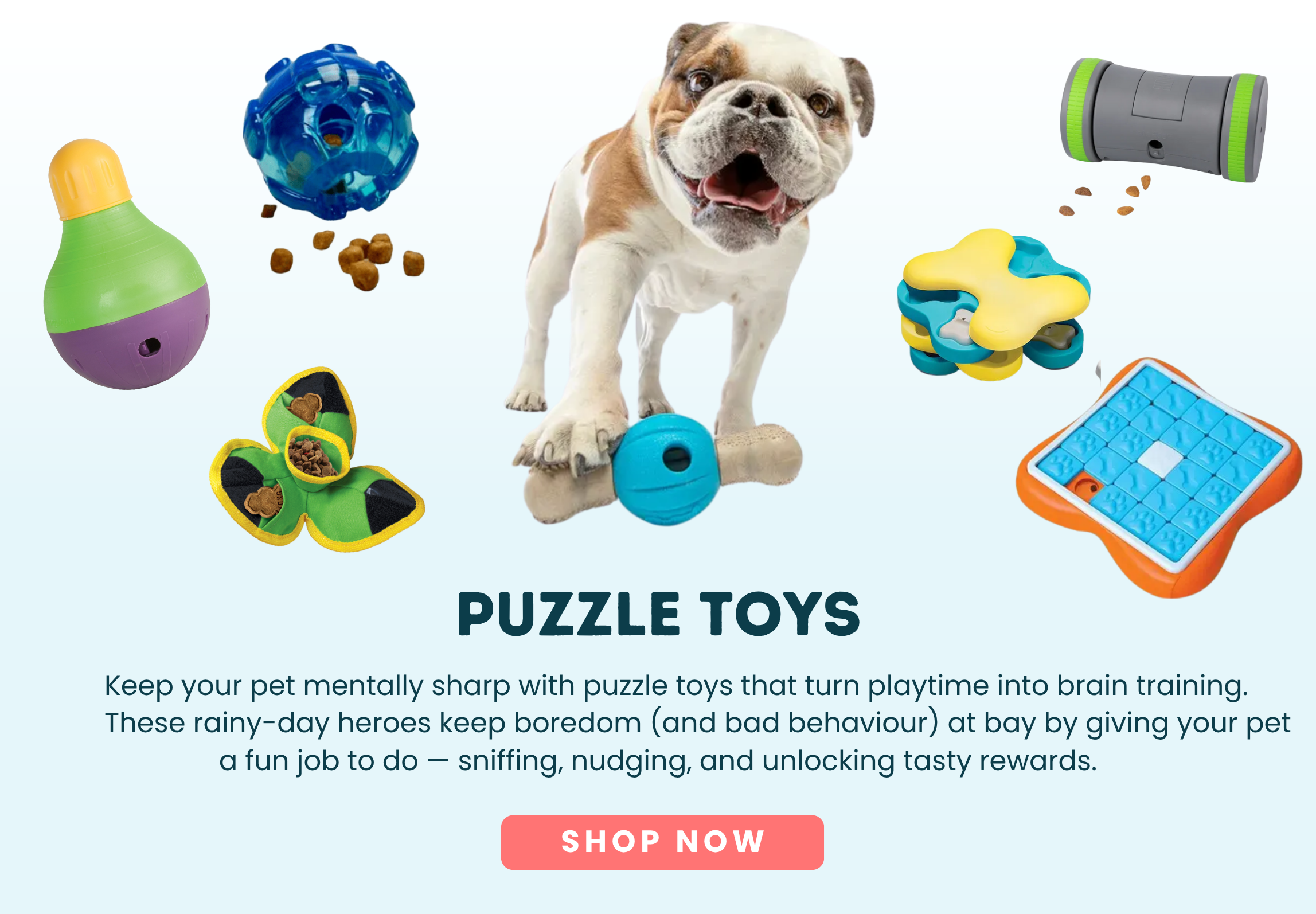 Puzzle Toys & Boredom Busters For Dogs