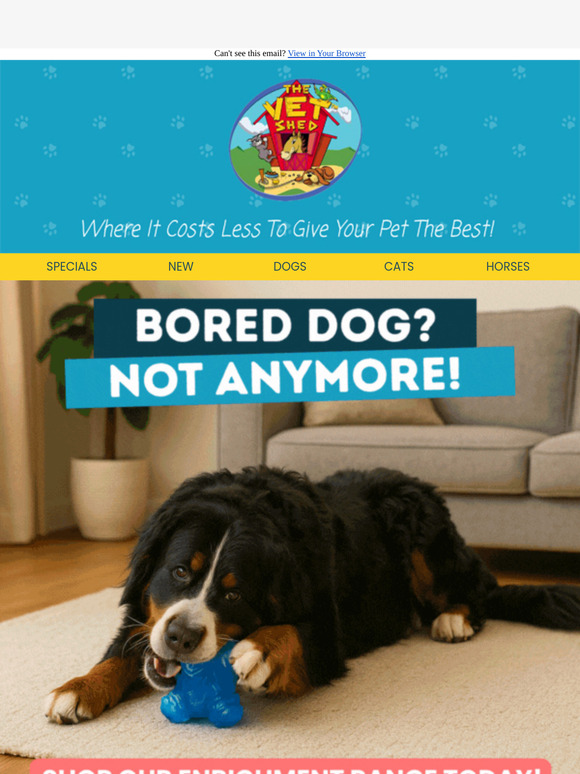 Is Your Dog Bored Indoors? Here’s What to Do 🐾