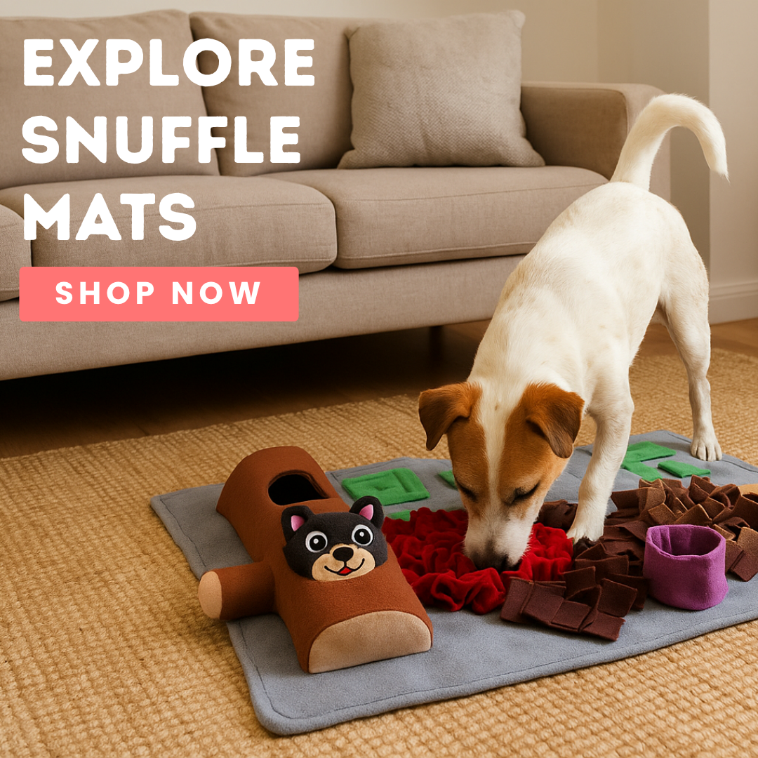Explore Snuffle Mats