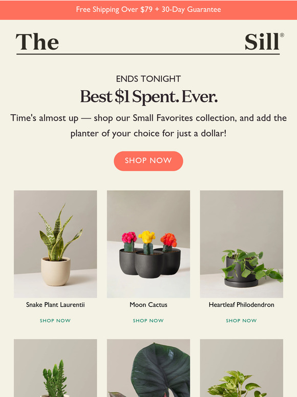 A planter for less than your coffee ☕