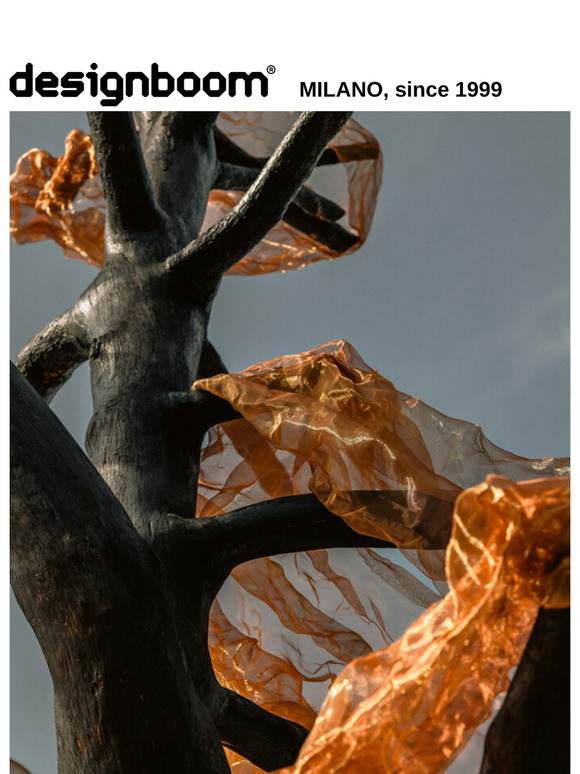 designboom weekly