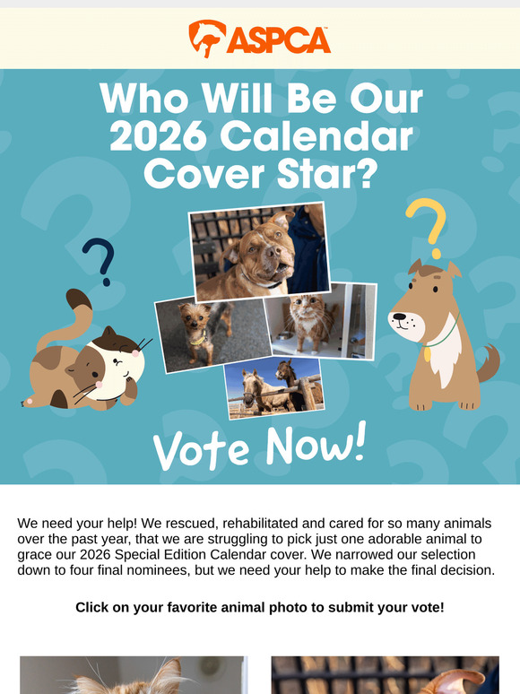 Pick Our 2026 Calendar Cover Star! (VOTE)