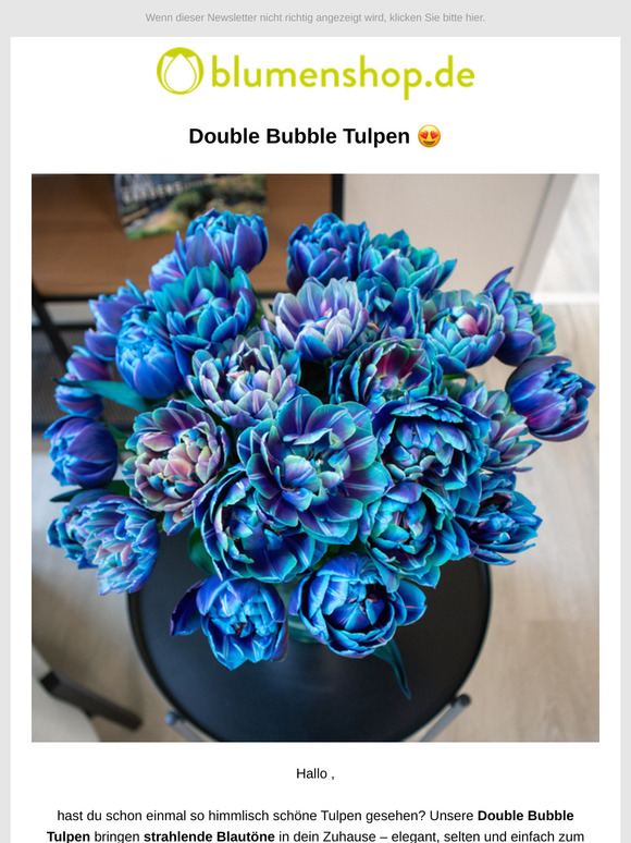 Double Bubble Tulpen in strahlenden Blautönen, ! 😍