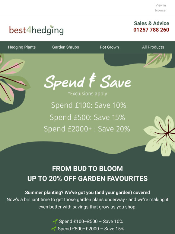 Unlock Up To 20% Off - Your Garden Deserves It  🌱💰