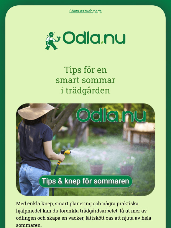 Har du allt du behöver till sommaren? 😎☀️