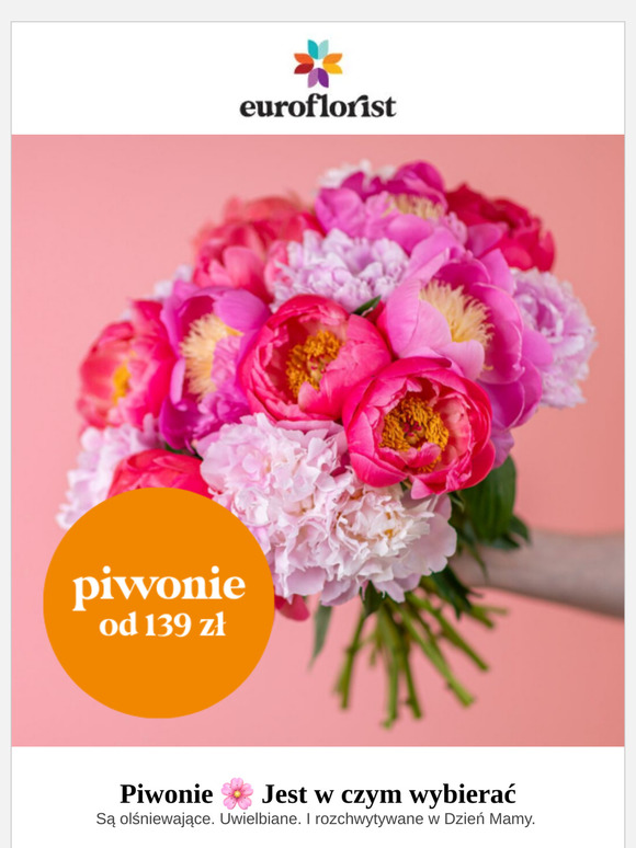 Piwonie od 139 zł 🌸 Mamy najlepszą ofertę