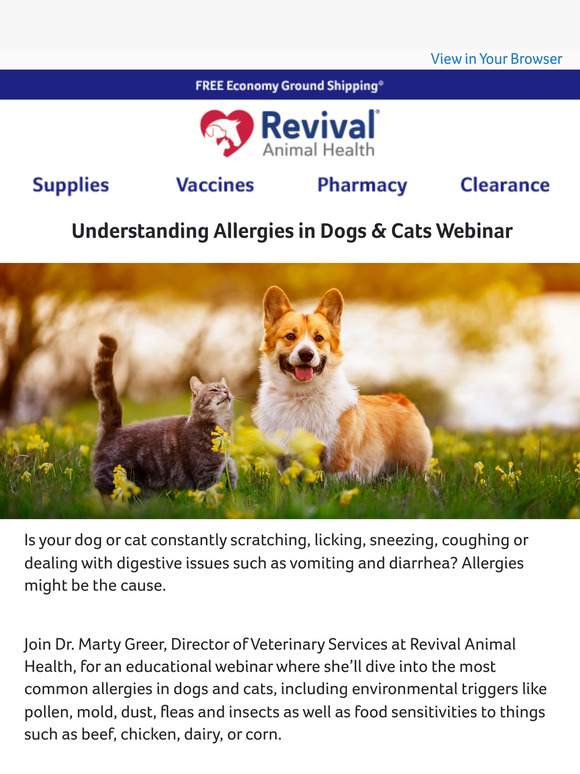 Free Webinar: Understanding Pet Allergies with Dr. Marty Greer