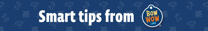 Smart tips from Bow Wow Labs