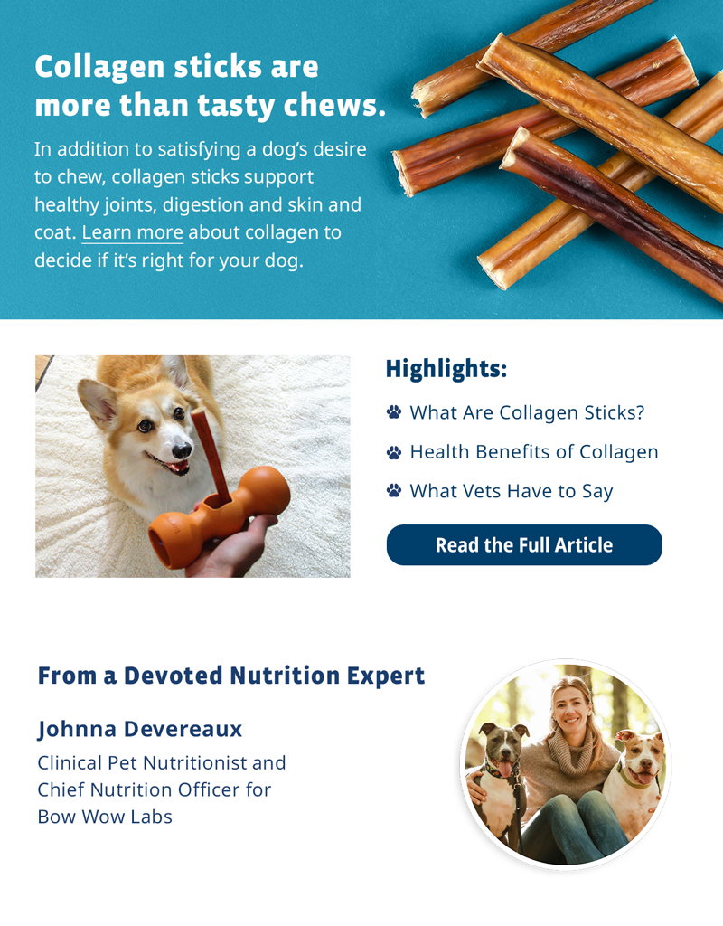 Collagen sticks are more than tasty chews.