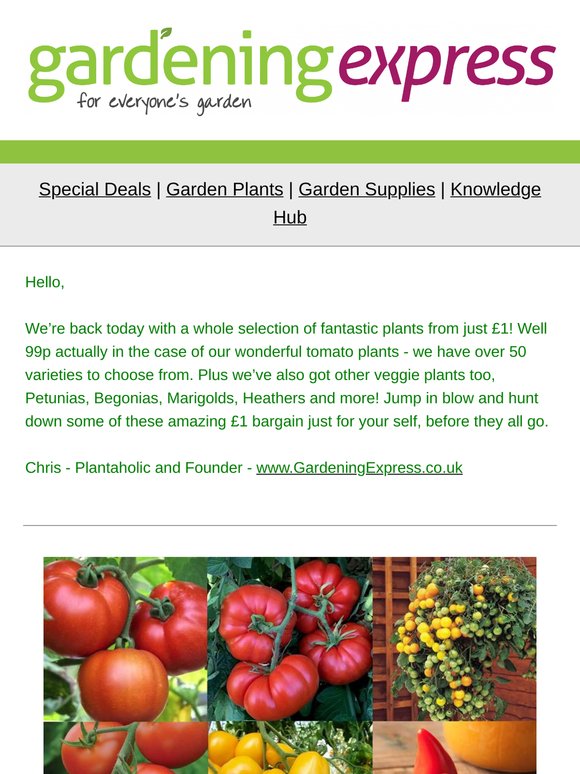 Everything is from Just £1! Yes, Just £1! Tomato Plants, Petunias, Veggies, Begonia, Marigolds, Heather's and much much more!