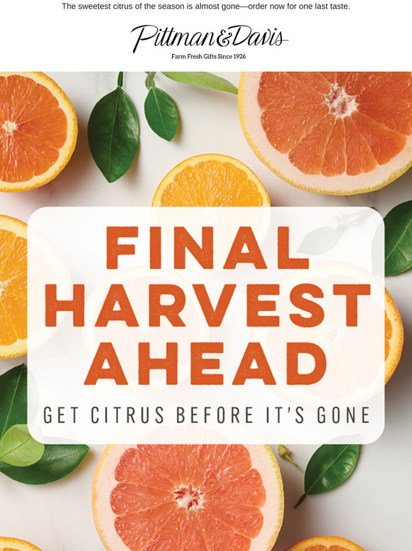 Final Harvest Ahead—Get Citrus Before It’s Gone 🍊