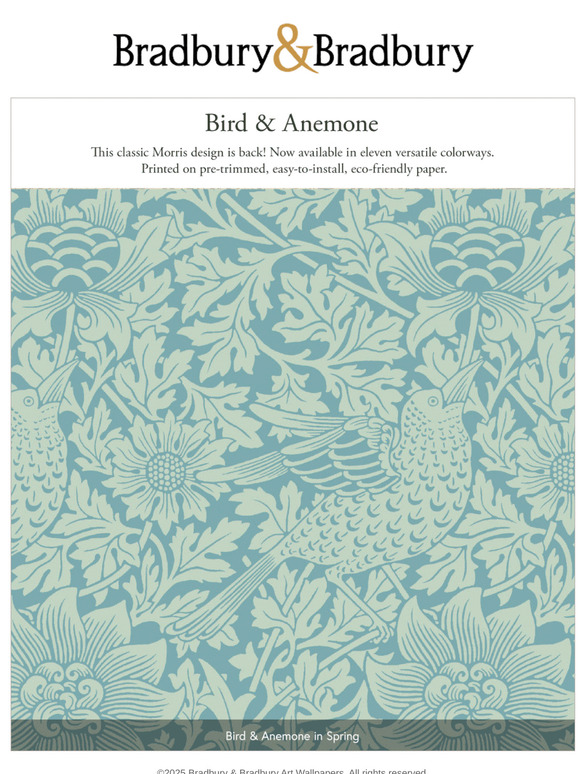 Bird & Anemone