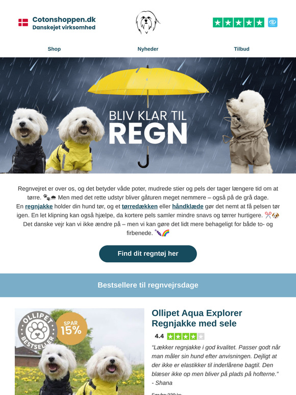☔️ Klar til regnvejrsdage med din hund?