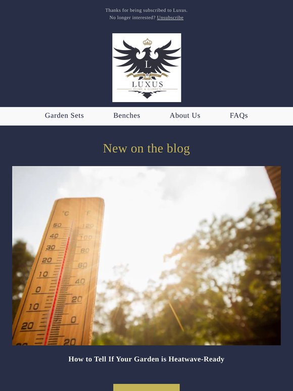New on our blog