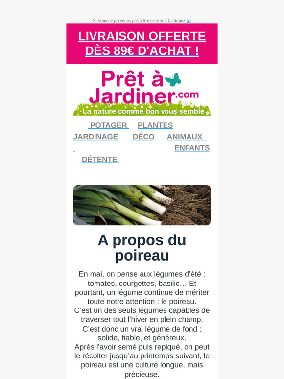 Le poireau, un classique qui mérite sa place au potager ! 🌱