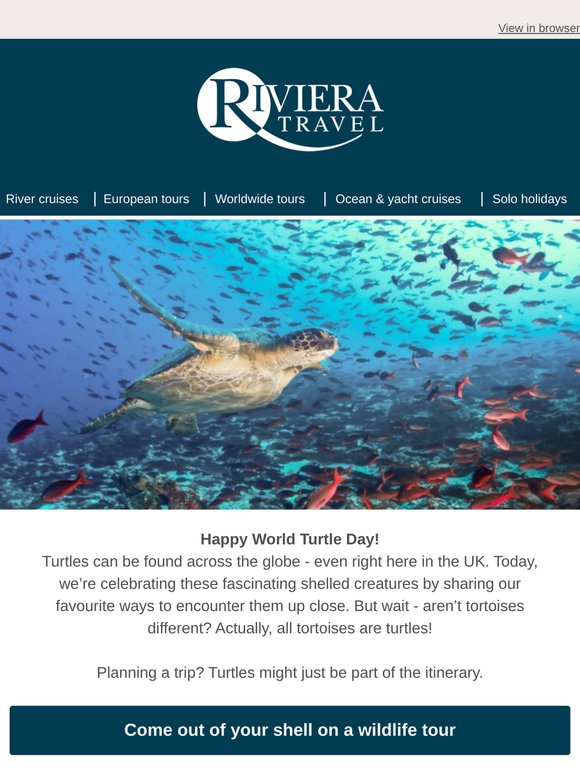 Shell-ebrate World Turtle day 🐢