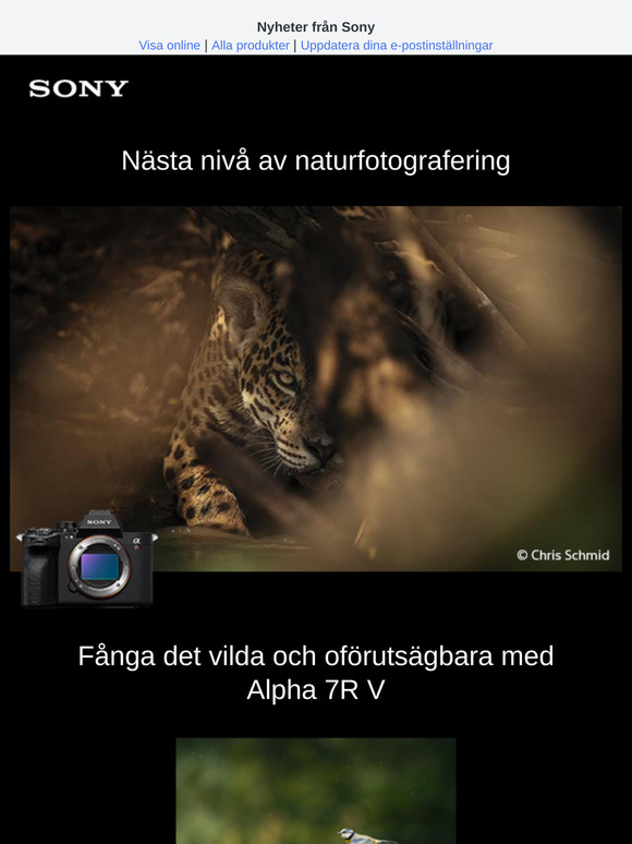 Nästa nivå av naturfotografering
