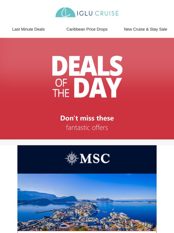 🔥 Our Deals of the Day