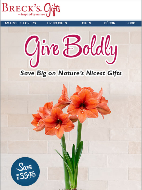 Time’s running out to send spring amaryllis