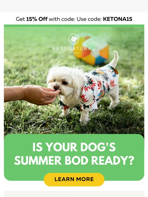 ☀️ Is your dog's summer bod ready?