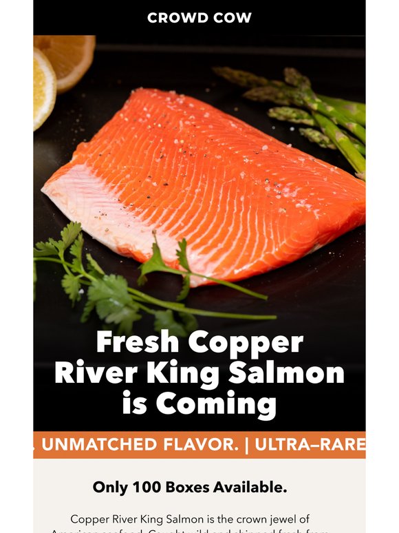 The King Returns: Copper River Salmon Season Is Here